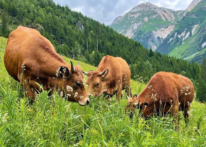 Chez Jean - 2 - Centre Du Village - A 30 Metres Des Telecabines شقة لا بلاني