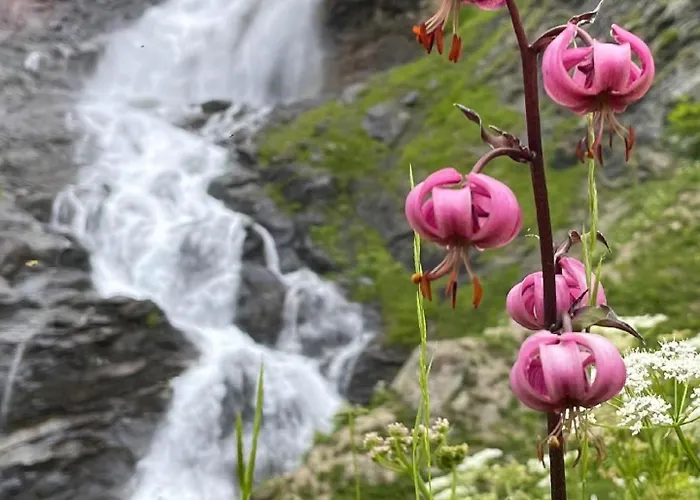 Chez Jean - 2 - Centre Du Village - A 30 Metres Des Telecabines * لا بلاني