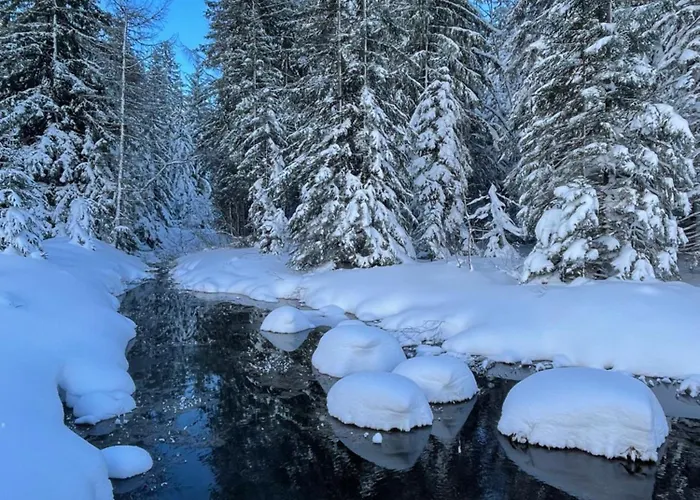 شقة Chez Jean - 2 - Centre Du Village - A 30 Metres Des Telecabines *