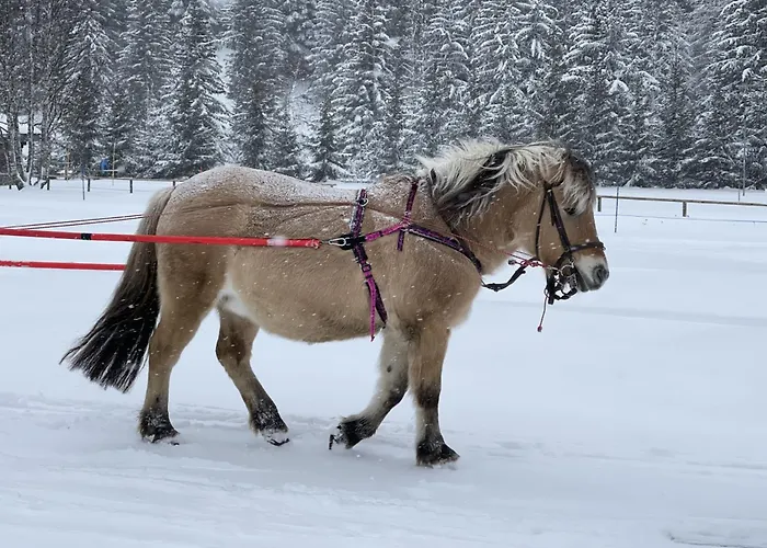 Chez Jean - 2 - Centre Du Village - A 30 Metres Des Telecabines لا بلاني