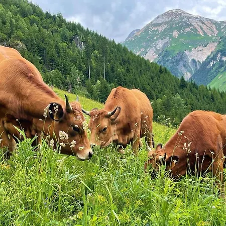 Chez Jean - 3 Pieces - Champagny-en-vanoise - Apartment La Plagne