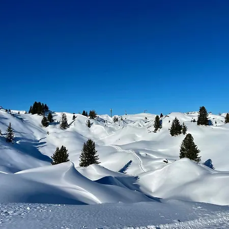 Chez Jean - 2 - Centre Du Village - à 30 Mètres Des Télécabines La Plagne