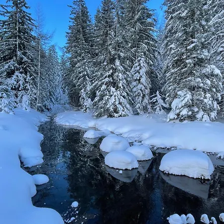 Apartment Chez Jean - 3 Pieces - Champagny-en-vanoise - *