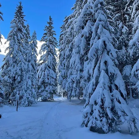 Chez Jean - 3 Pieces - Champagny-en-vanoise - Apartment