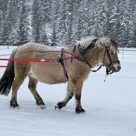 Chez Jean - 3 Pieces - Champagny-en-vanoise - La Plagne