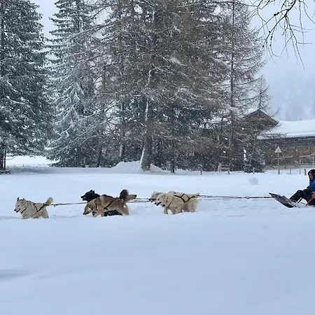 Apartment Chez Jean - 3 Pieces - Champagny-en-vanoise - *