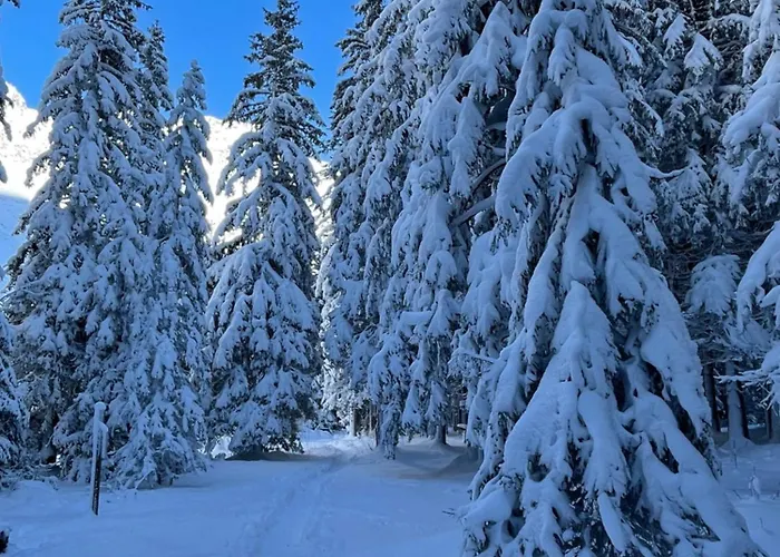 Chez Jean - 2 - Centre Du Village - A 30 Metres Des Telecabines Apartment