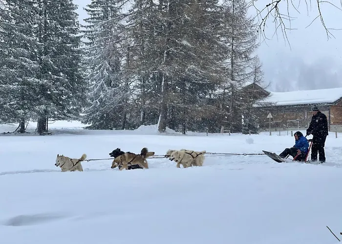 Apartment Chez Jean - 2 - Centre Du Village - A 30 Metres Des Telecabines *